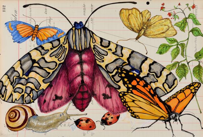 Thomas Gatzemeier | Tarnkappe und Schneckenhaus | 2015 | Acryl, Tusche auf Kontopapier | 32,7 x 48,5 cm Tarnkappe und Schneckenhaus | 2015 | Acryl, Tusche auf Kontopapier