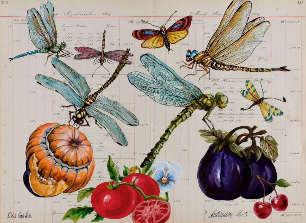 Das Kunstwerk von Thomas Gatzemeier mit dem Titel der Garten aus dem Jahr 2025 ist in Mischtechnik auf altem Kontopapier gearbeitet und zeigt verschiedene Gemüse sowie Libellen und Falter. Diese Arbeit gehört zu dem Zyklus Sammelsurium.
