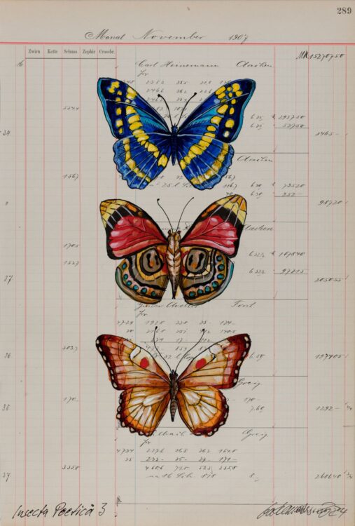 Die Arbeit Insecta Poetica 3 von Thomas Gatzemeier gehört zu dem seit Jahren entstehenden Zyklus Sammelsurium und bildet mit seinen 10 Arbeiten ein Unterzyklus. Auf dem Kontopapier aus dem Jahr 1907 sind Schmetterlinge zu sehen. Die Hochformate sind ein Augenschmaus für Kunstfreunde.