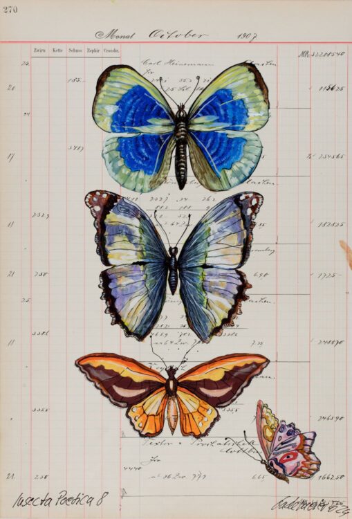 Das Schmetterlingsbild von Thomas Gatzemeier Insecta Poetica 8 stammt aus dem Jahr 2024 und gehört zu dem Zyklus Sammelsurium. Auf diesen Blättern sind im Sinne von Sybilla Merian Insekten versammelt. Eine Huldigung an die Natur.