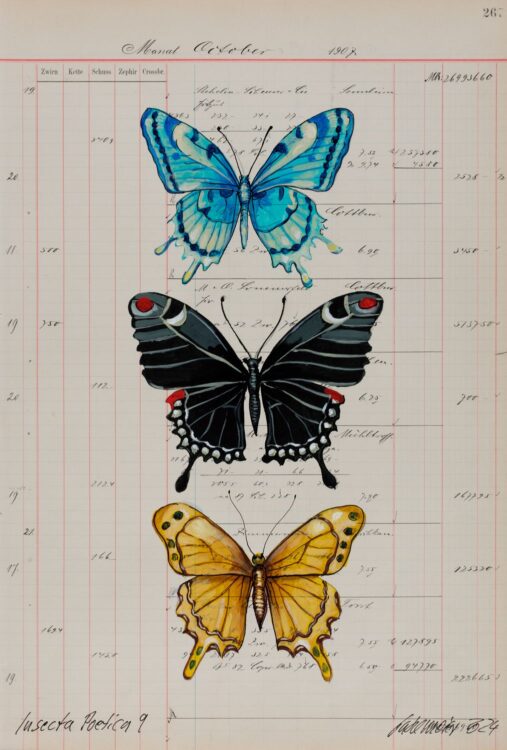 Ein schwarzer Schmetterling ist der zentrale Punkt auf der Arbeit von Thomas Gatzemeier mit dem Titel Insecta Poetica 9 die 2024 entstand. Dieses Palimpsest auf Kontopapier aus dem Jahr 1907 gehört zu dem großen Zyklus Sammelsurium.