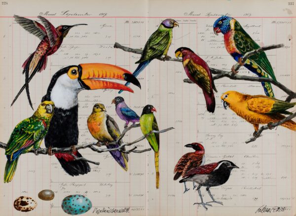 Die Arbeit von Thomas Gatzemeier mit dem Titel Vogelmärchenwald aus dem Jahr 2025 gehört zum Zyklus Sammelsurium. Die auf Kontopapier des jahre 1907 gemalten Vögel sind sehr farbig und lösen gute Laune aus.